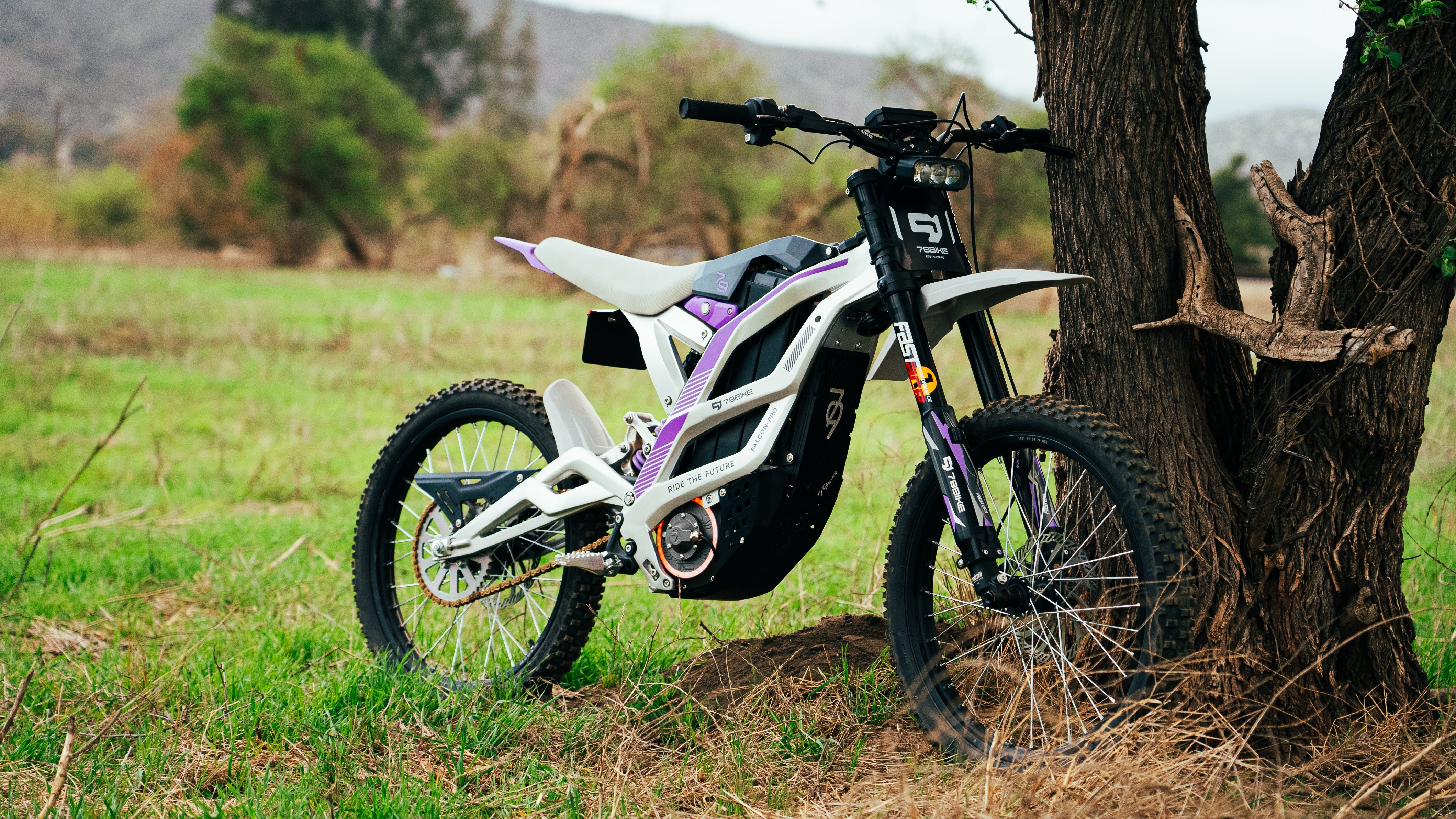 79Bike Falcon Pro Electric Dirt Bike - Image 5