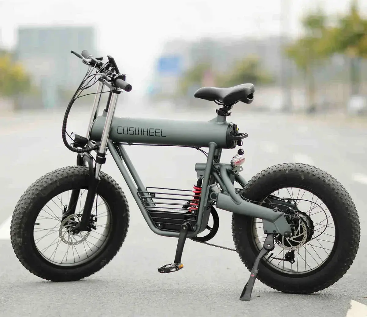 Cosweheel T20 Ebike 48V750w electric bike - Image 4